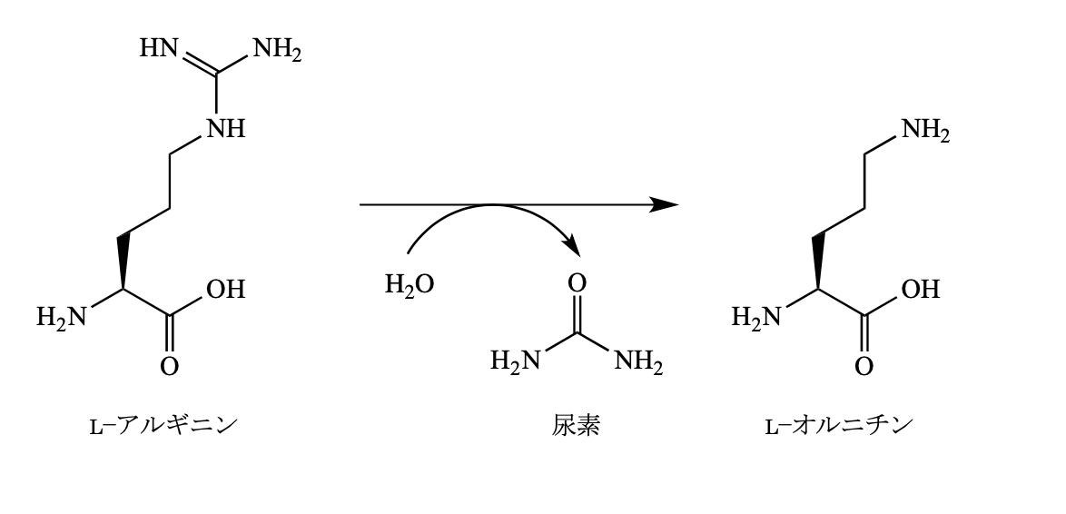 解説画像